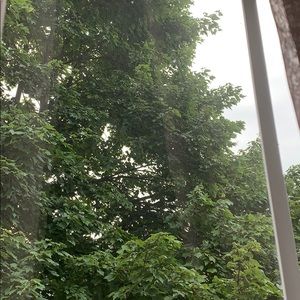 Meet your Posher, Marcela